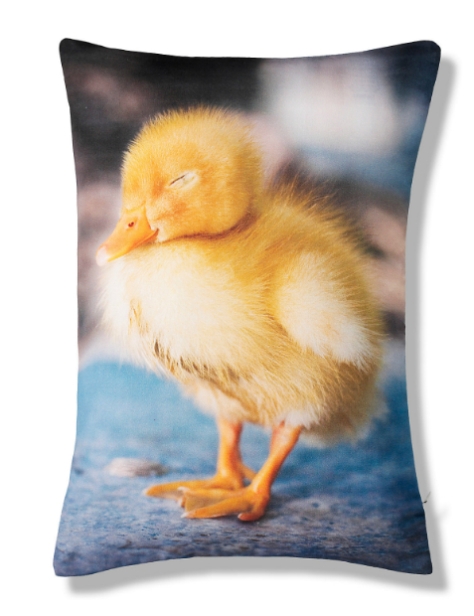 Duckling Print Cushion, Marks and Spencer