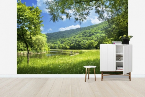 Summer Landscape with River, Photowall